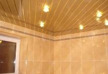 1382447054Room-ceiling-in-the-bath