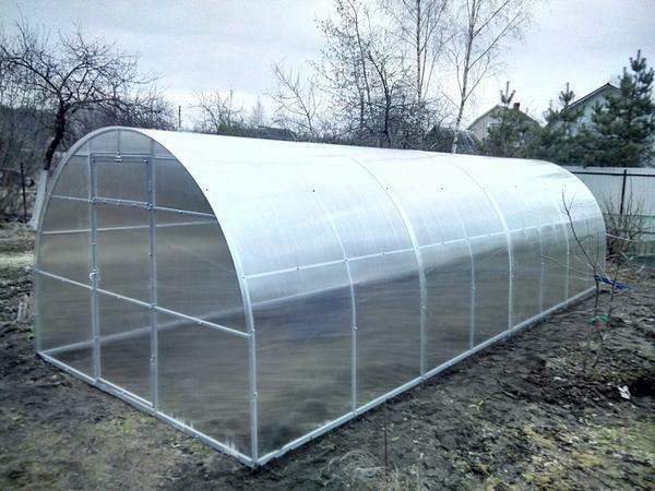 Many prefer to choose 8-meter greenhouses made of polycarbonate, because they are durable, safe and practical