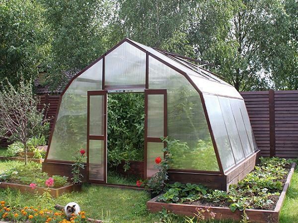 Installation av växthus med tanke på kompassen gör det möjligt att få maximal mängd värme och ljus