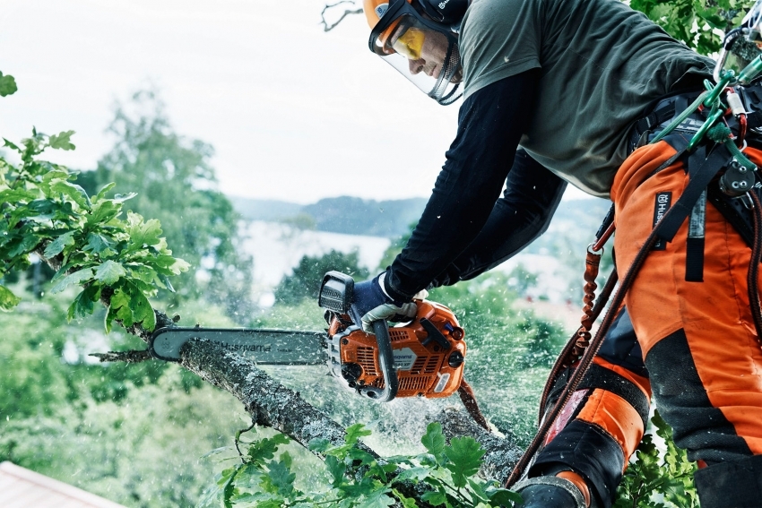 Which brand of chainsaw choose: a review of the best current models