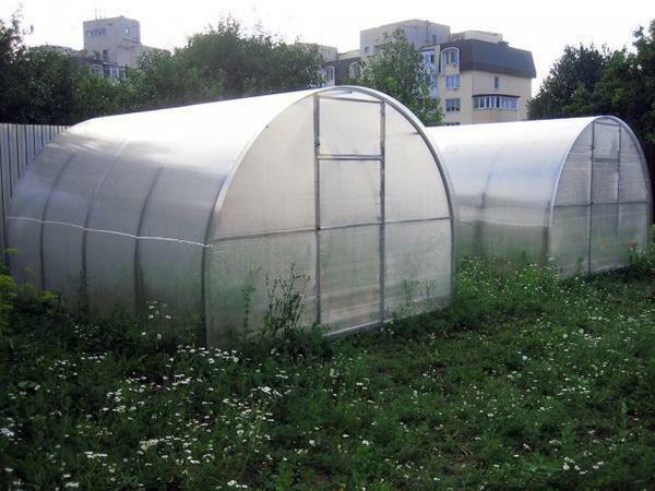 Triumph greenhouses are able to withstand heavy snow loads