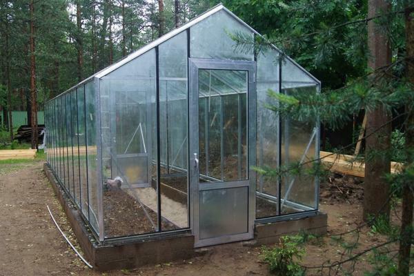 The "Botany" greenhouse provides a high degree of structural reliability in all conditions