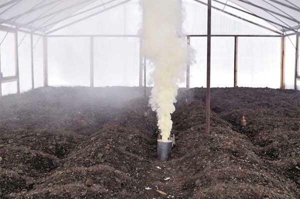 Before winter and early spring, you can treat the greenhouse with a special smoke bomb
