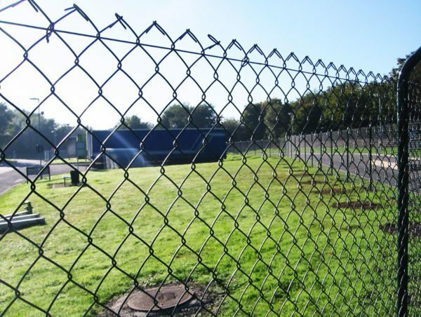 Fences, mesh-netting traumatic for animals