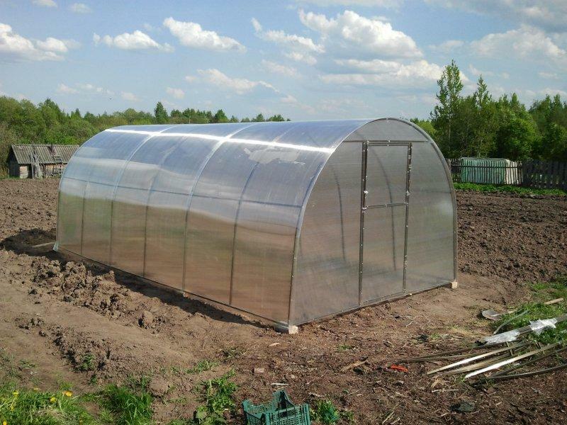 Greenhouse 3 m at 6 m: polycarbonate assembly and video 3x6, drawing and how to assemble the greenhouse, the layout of meters and what to plant