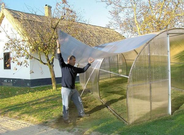 To date, the market is widely represented greenhouses of cellular polycarbonate from different manufacturers
