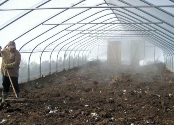 Sulphunc apstrādes greenhouses - efektīva metode