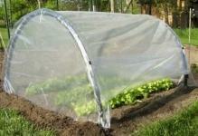 75344-unpretentious-portable-greenhouse-under-cucumber-from-stretch films