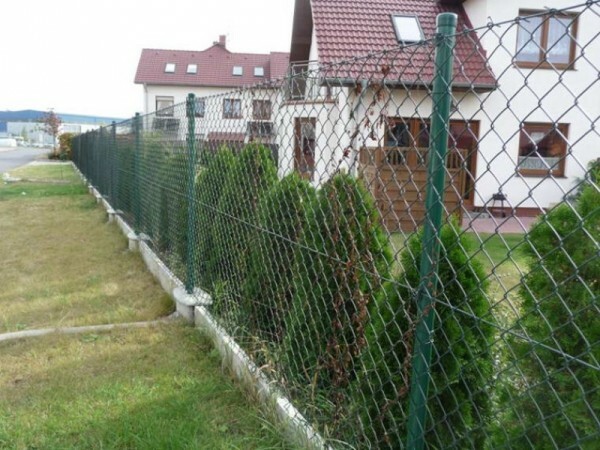 In the photo: fence netting - a simple and practical solution for suburban and country areas