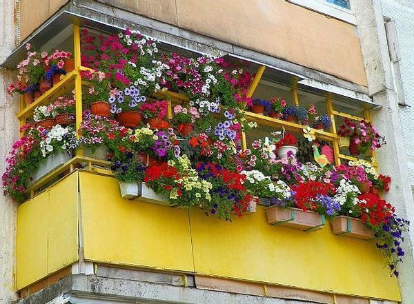 Balkon için Kıvırcık dekoratif çiçekler sen bütün balkon süslemeleri
