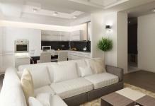 1398230290complete-small-kitchen-with-living-room-photo