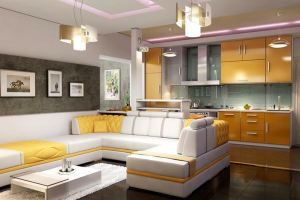 Kitchen-living room 30 sq. M. Design photo: four-seater project, combined layout, interior