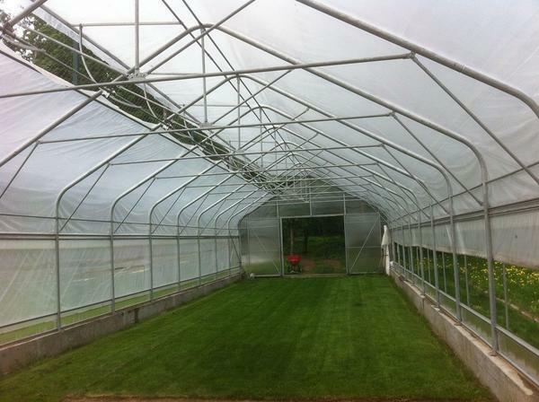 Greenhouse Farmer: video and assembly, greenhouse width, professional from the manufacturer