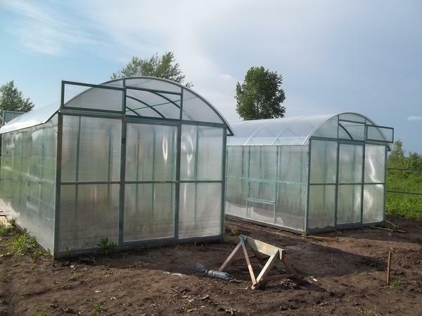 Vertical greenhouses are well suited for growing tall plants