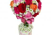 8s425esche8az1e293ea27809b24zhh - cvijeće, floristry, topiary-of-ruže