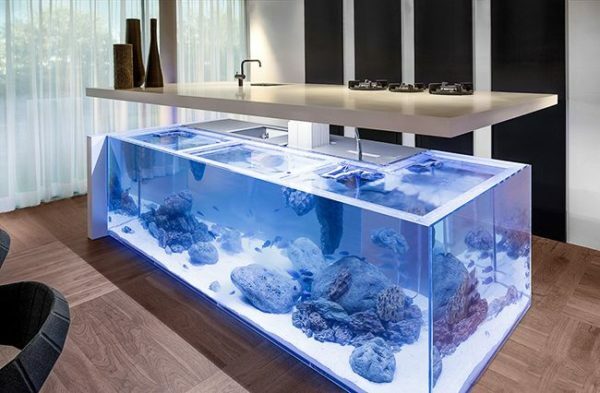 This aquarium will make the room warm and cozy.