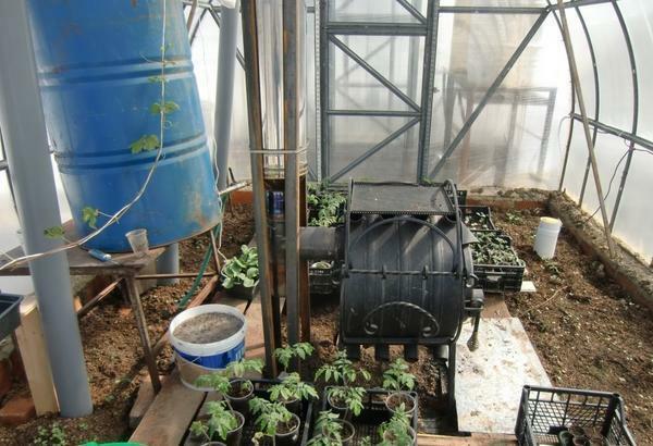 The greenhouse is heated with a solid fuel system with wood or any other solid fuel