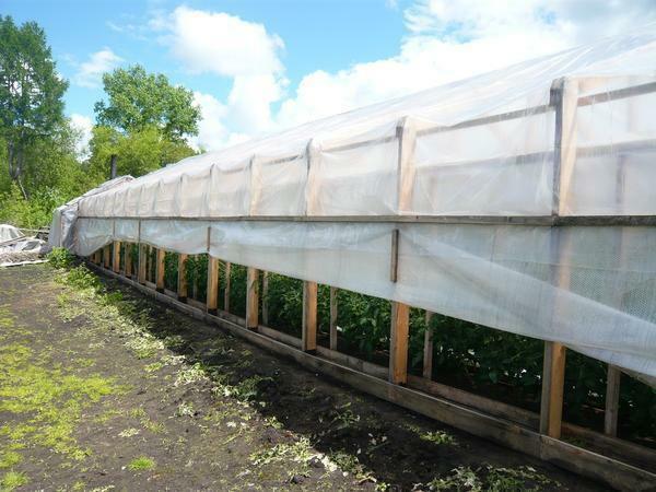 The frame of the greenhouse can be made of wood, metal or plastic