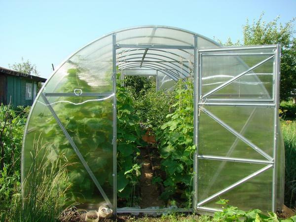 Washing the greenhouse from polycarbonate can be done with the help of household chemicals