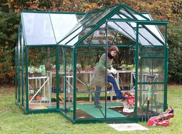 In the autumn period, the remains of plant cultures should be removed in the greenhouse