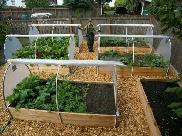 Built mini greenhouse with their own hands will not be worse than finished, but will cost much less