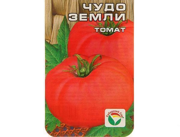Gennemsnitlig højde af tomatsorter Earth Miracle egnet til konservering samt til frisk konsum