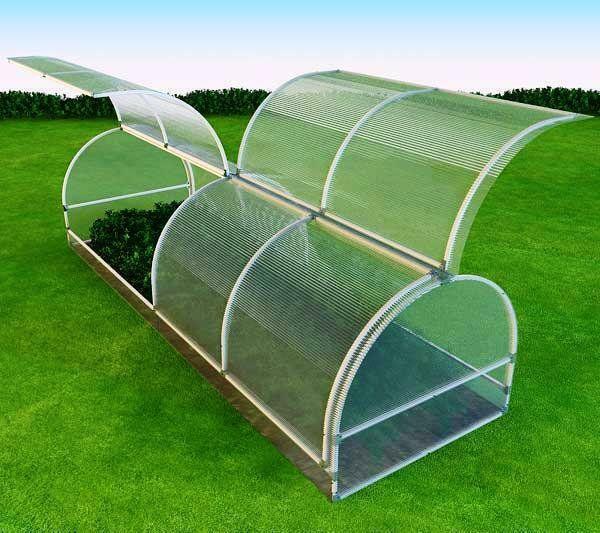 In our harsh climate, where spring heat alternates with frost, the greenhouse is the only way to protect plants against weather whims