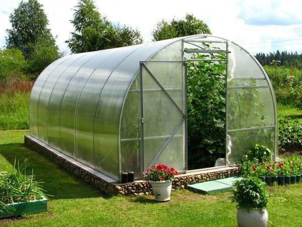 Greenhouses made of cellular polycarbonate are very popular among farmers