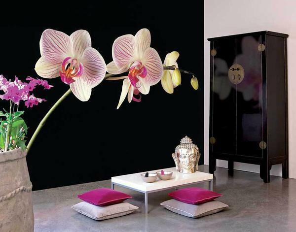 Tapetes ar orhidejas var dekorēt jebkurā telpā