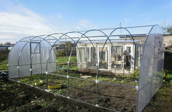 To build a greenhouse of polycarbonate, only two people