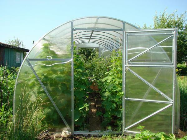 Greenhouses made of polycarbonate must be washed both outside and inside with a plain rag with water or a soapy solution