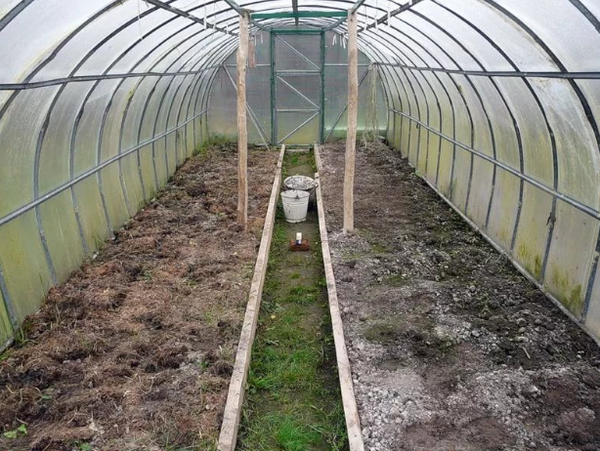 If the ground in the greenhouse becomes green, it is necessary to adjust the ventilation system