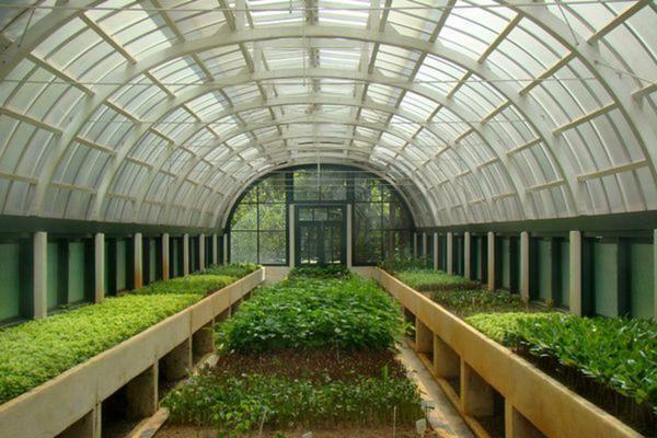 In order to grow green all year round, it is necessary to correctly choose the choice of a greenhouse