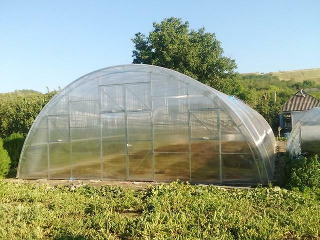 Arched greenhouse: better gable from polycarbonate, profile pipes, drawing by own hands, by type of droplet