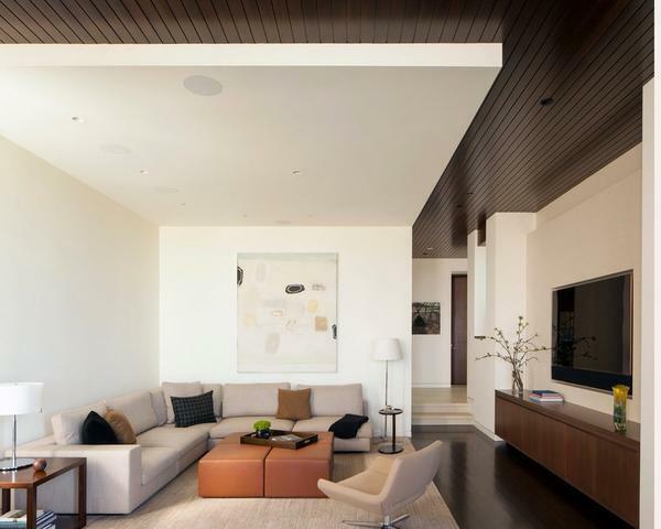 The minimalist living room is characterized by a minimal amount of things and decor items