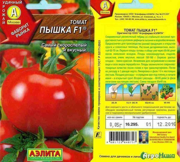 Grote tomatenrassen voor kassen: grote vruchten tomaten, hoe om te groeien onvolgroeide, de beste van de beste in Siberië