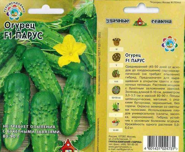To high-yield self-polluting cucumbers it is possible to carry a grade the Parus F1