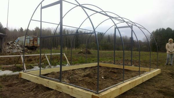 To install a greenhouse on the cant stands if it will not be heated