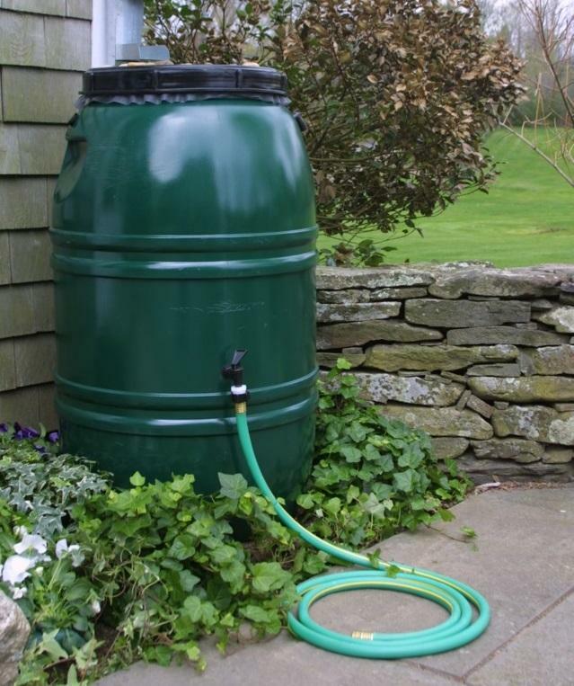 Raccogliere l'acqua piovana per l'irrigazione: sistema di serbatoi, contenitori, tetto deflusso entra nelle intestazioni, impostare il filtro