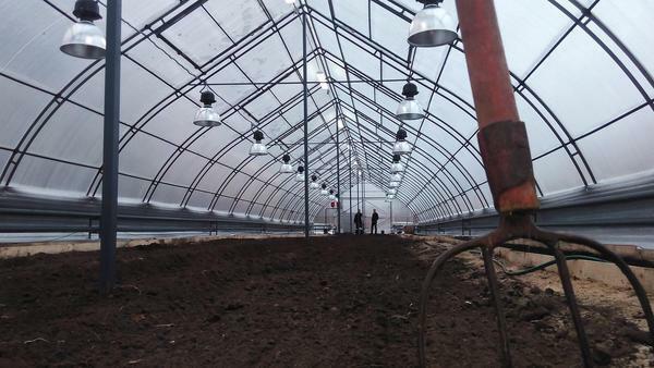 All-season greenhouses are always covered with glass or polycarbonate