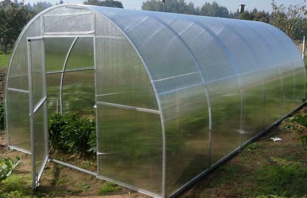 The main purpose of the greenhouse is to grow vegetables not only on large garden plots, but also in small gardens and small cottages