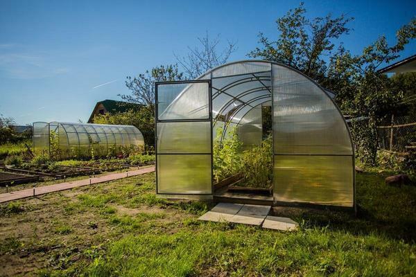 The model range allows you to choose a greenhouse with the right characteristics and the optimal price
