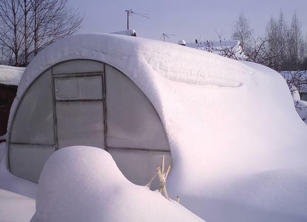 To prevent snow from falling into the greenhouse, it must be installed on a stone or concrete foundation