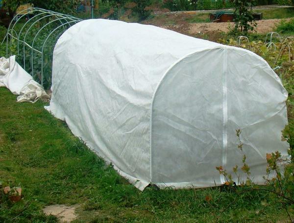 Cover materials for greenhouse producers offer in a wide range