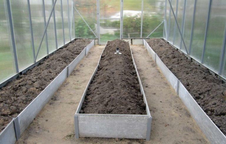 The arrangement of beds in the greenhouse vertically or horizontally depends entirely on the method of growing the plants