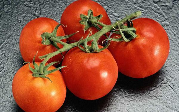 Tomato varieties are chosen depending on the timing of their maturation
