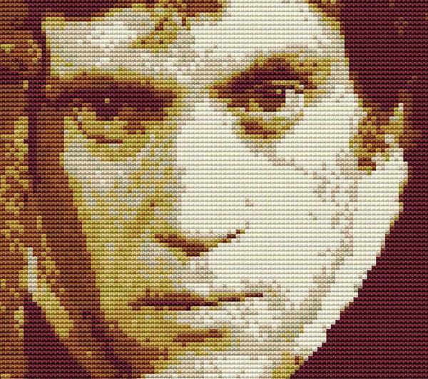 With the help of special programs you can make absolutely any scheme for cross-stitching portraits