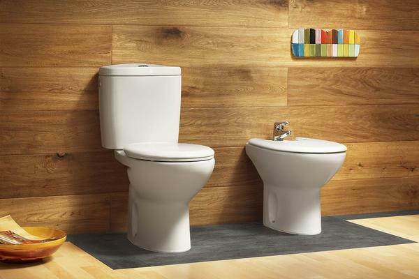 The toilet should harmonize with the interior in style and color