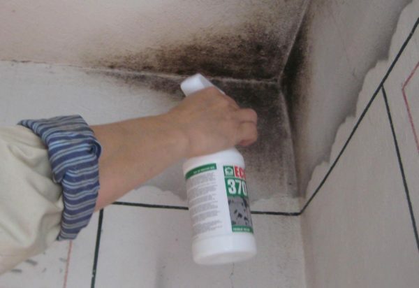 Mold primarily affects the place of frequent leakage from the neighbors and the joints between tile.