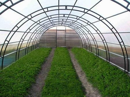 There is a wide variety of greenhouses that differ in design, function and design